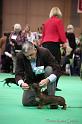 Crufts2011_2 1110